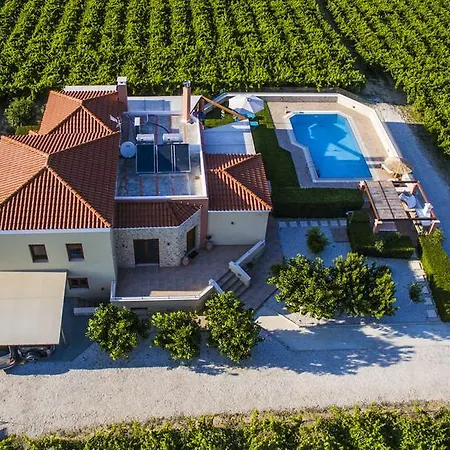 Cretan Vineyard Hill Kato Kalesia