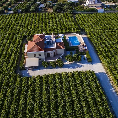 Cretan Vineyard Hill